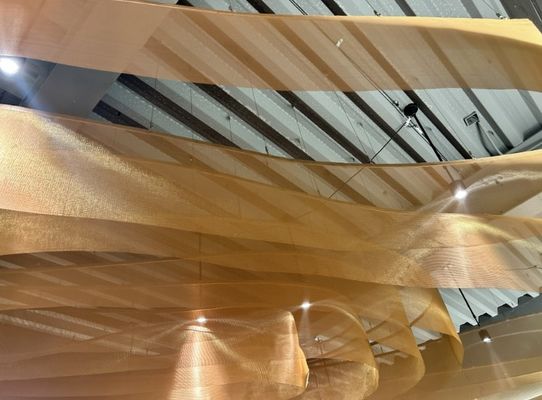 Hoog flexibele decoratieve geweven gaas voor architectonisch plafond