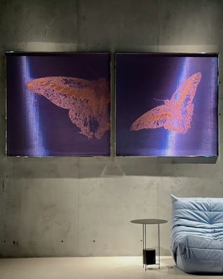 Hoge duurzaamheid Woven Wire Mesh Mural Voor 3d Mesh Stof