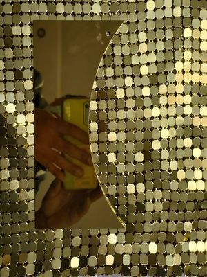 Roestvrij staal oliebestendige 2-8 mm metalen glitterstof