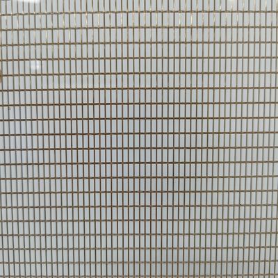 304 316L roestvrijstalen draadgasharing gelaagd glas met 21 gaas